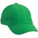 color:fern-green
