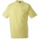 color:light-yellow