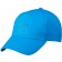 color:atlantic