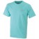 color:mint